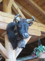 Glacier-Bernina-Reise, Abendessen auf Sunnegga  - Eringerkuh