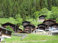 Glacier-Bernina-Reise, Fahrt zum Säntis - Stopp in Niederwald