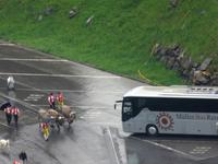 Glacier-Bernina-Reise, Schwägalp Alpaufzug