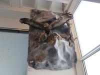 Glacier-Bernina-Reise, auf dem Säntis - Steinadler