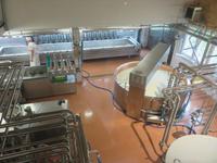 Glacier-Bernina-Reise, Schwägalp - Schaukäserei