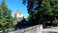 Thun, Stadtführerin mit Elsbeth Aebersold,Schloss