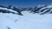 Jungfraujoch,Blick auf den Aletschgletscher