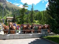 Pferdekutschfahrt ins Val Roseg