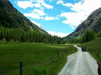 Pferdekutschfahrt ins Val Roseg