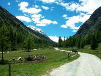 Pferdekutschfahrt ins Val Roseg