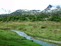 Fahrt mit dem Bernina - Express