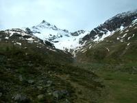 Fahrt mit dem Bernina - Express