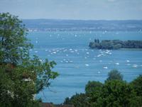 Blick über den Bodensee