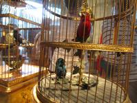 Uhrenmuseum. Vogelautomaten