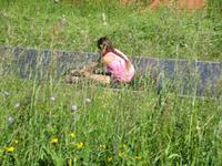 Vue des Alpes. Sommerrodelbahn