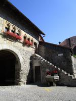 Esdtevayer-le-Lac. Fröschemuseum