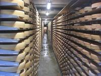 Gruyères. Reifekeller