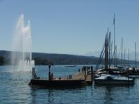 Am Hafen Enge in Zürich
