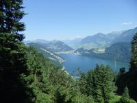 Blick aus der Bahn auf den Vierwaldstätter See