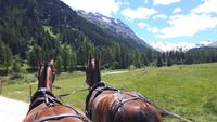 Pferdekutschfahrt ins Val Roseg