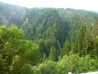 Fahrt mit dem Arosa Express