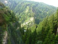 Fahrt mit dem Arosa Express