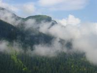 Fahrt mit dem Arosa Express