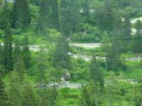 Fahrt zum Malorjapass