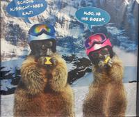 Grindelwald, Bummel durch den Ort