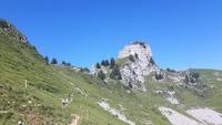 Schynige Platte (Wanderung zum Aussichtspunkt 
