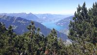 Schynige Platte (Aussichtspunkt 