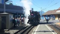 Rigi-Dampfbahn in Vitznau