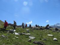 275 Wanderung auf dem Blumenweg von Blauherd nach Sunnegga