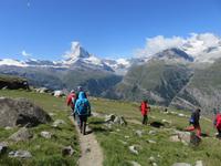 276 Wanderung auf dem Blumenweg von Blauherd nach Sunnegga
