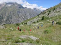 282 Wanderung auf dem Blumenweg von Blauherd nach Sunnegga