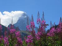 386 Wanderung von Furi nach Zermatt -Blick zum Matterhorn