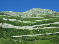 428 Fahrt nach Interlaken - Blick zur Grimselpass-Strasse