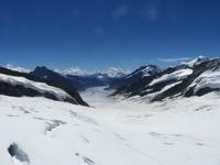 456  Auf dem Jungfraujoch - Blick über den Aletschgletscher in die Walliser Alpen