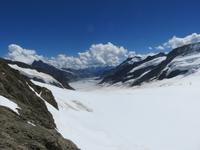 478  Auf dem Jungfraujoch -Blick vom Plateau zum Aletschgletscher