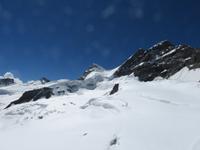 479  Auf dem Jungfraujoch -Blick vom Plateau zum Aletschhorn