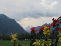558 Interlaken -Blick zur Jungfrau