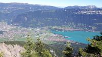 Schynige Platte (Blick zum Brienzersee)