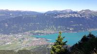 Schynige Platte (Blick zum Thunersee)