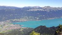 Schynige Platte (Blick zum Brienzersee)