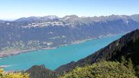 Schynige Platte (Blick zum Brienzersee)