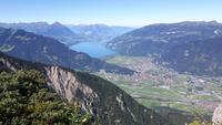 Schynige Platte (Blick zum Thunersee)