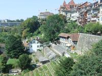 Die hängenden Gärten von Bern