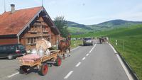 Almabtrieb in Urnäsch