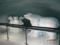 Unser Ausflug zum Jungfraujoch