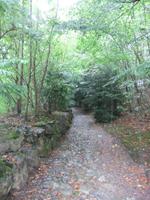 Durch diese Hohle Gasse muss er kommen...