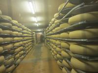 Emmental-Affoltern,die Schaukäserei