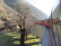 054 Fahrt mit dem Bernina-Express - Fahrt über das Kreisviadukt von Brusio