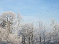 219 Fahrt durch das winterliche Rheintal