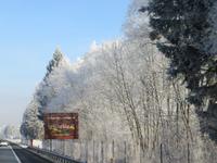223 Fahrt durch das winterliche Rheintal
